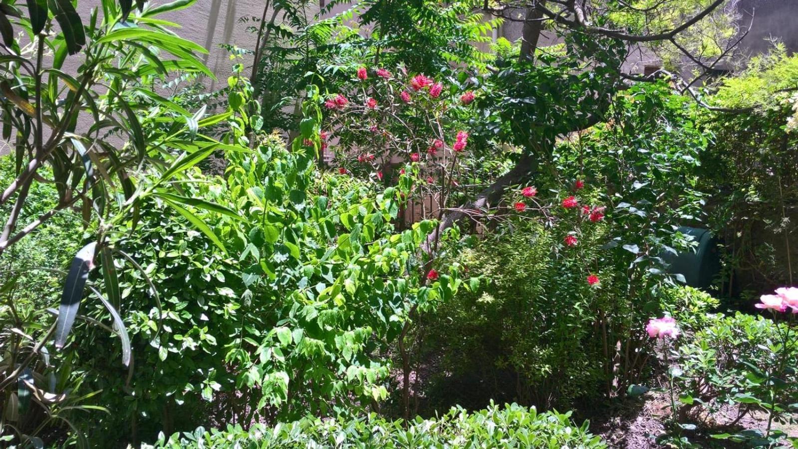 B&B Fleurs Enna Exterior photo