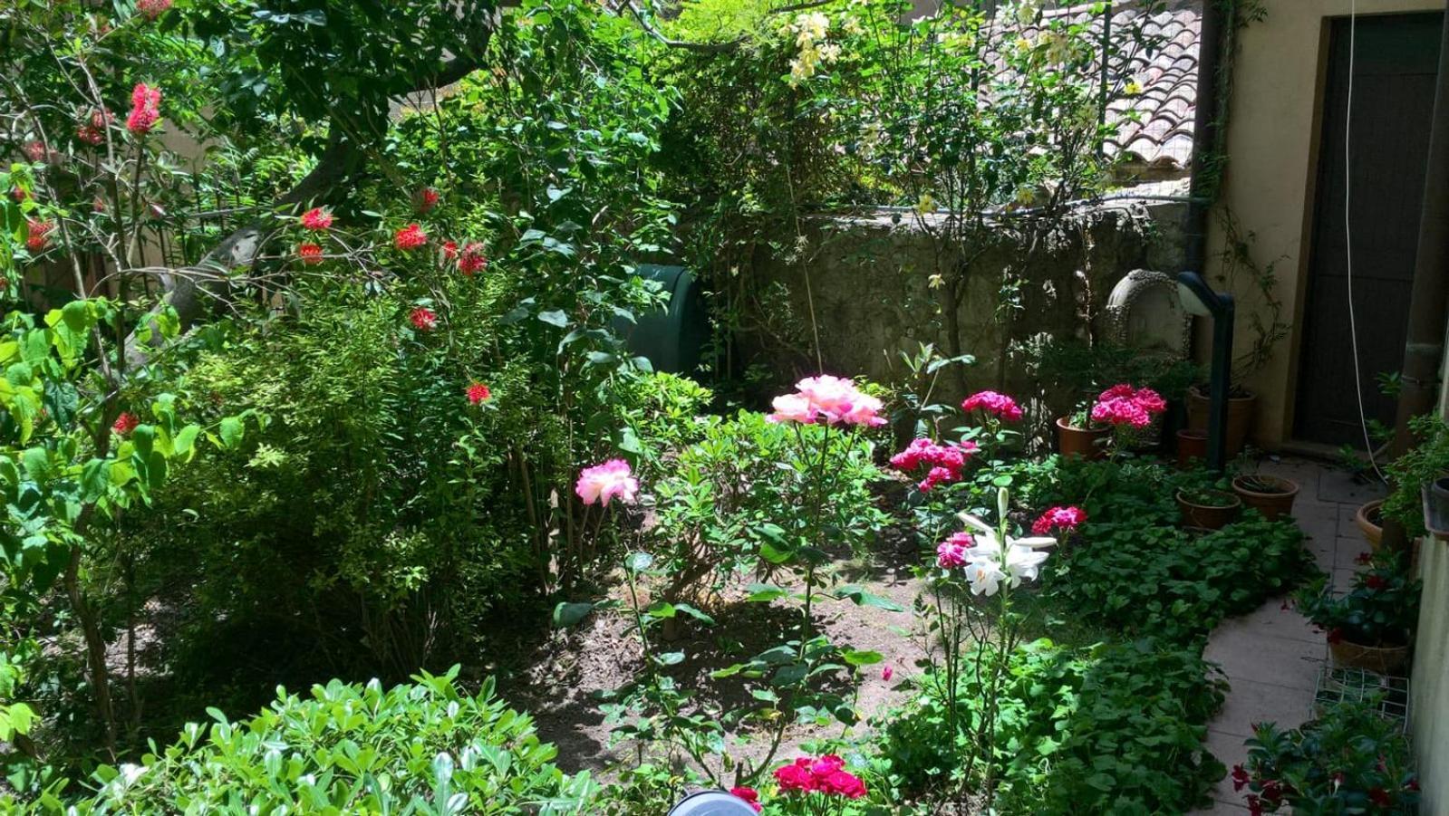 B&B Fleurs Enna Exterior photo