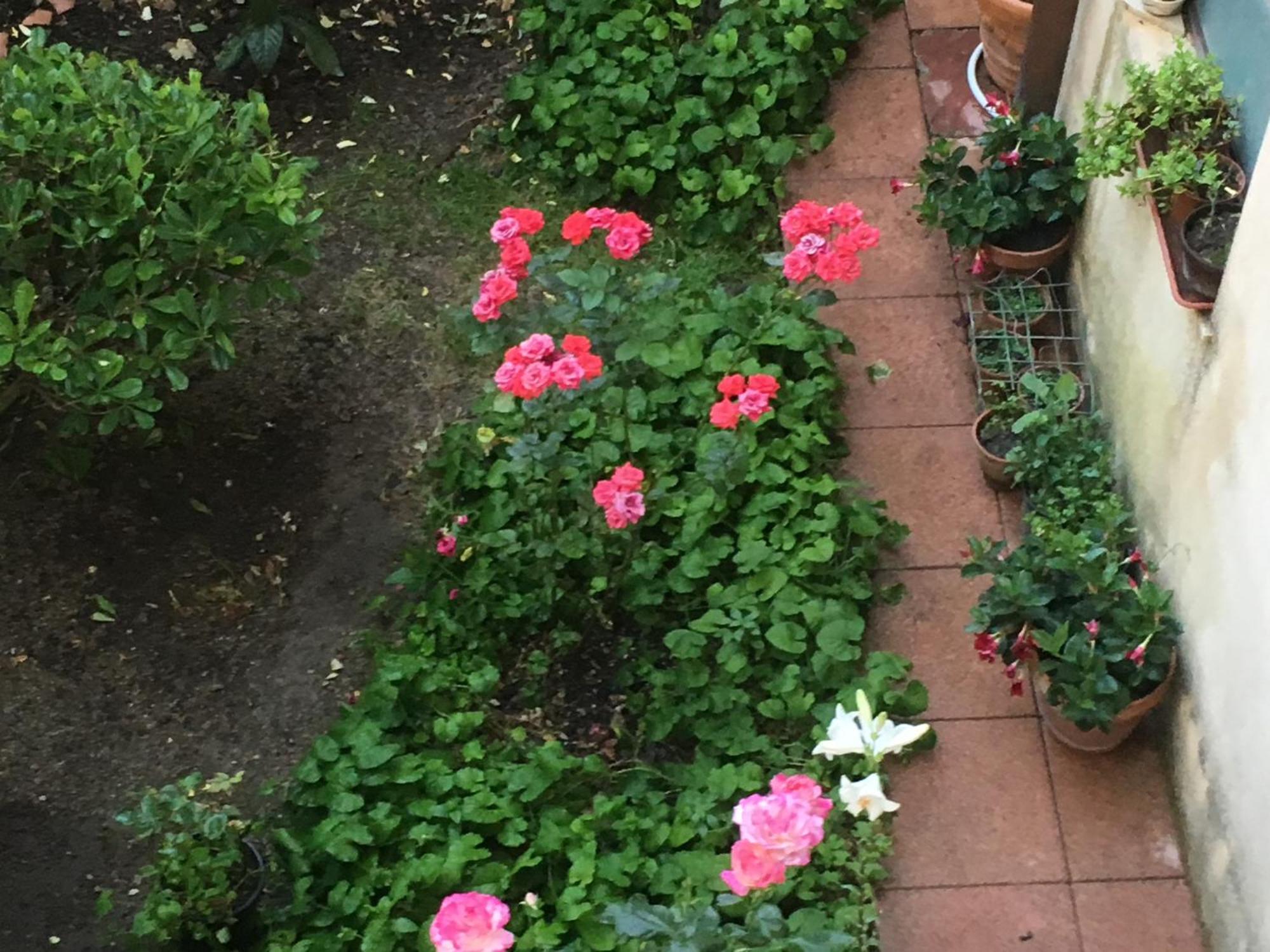 B&B Fleurs Enna Exterior photo