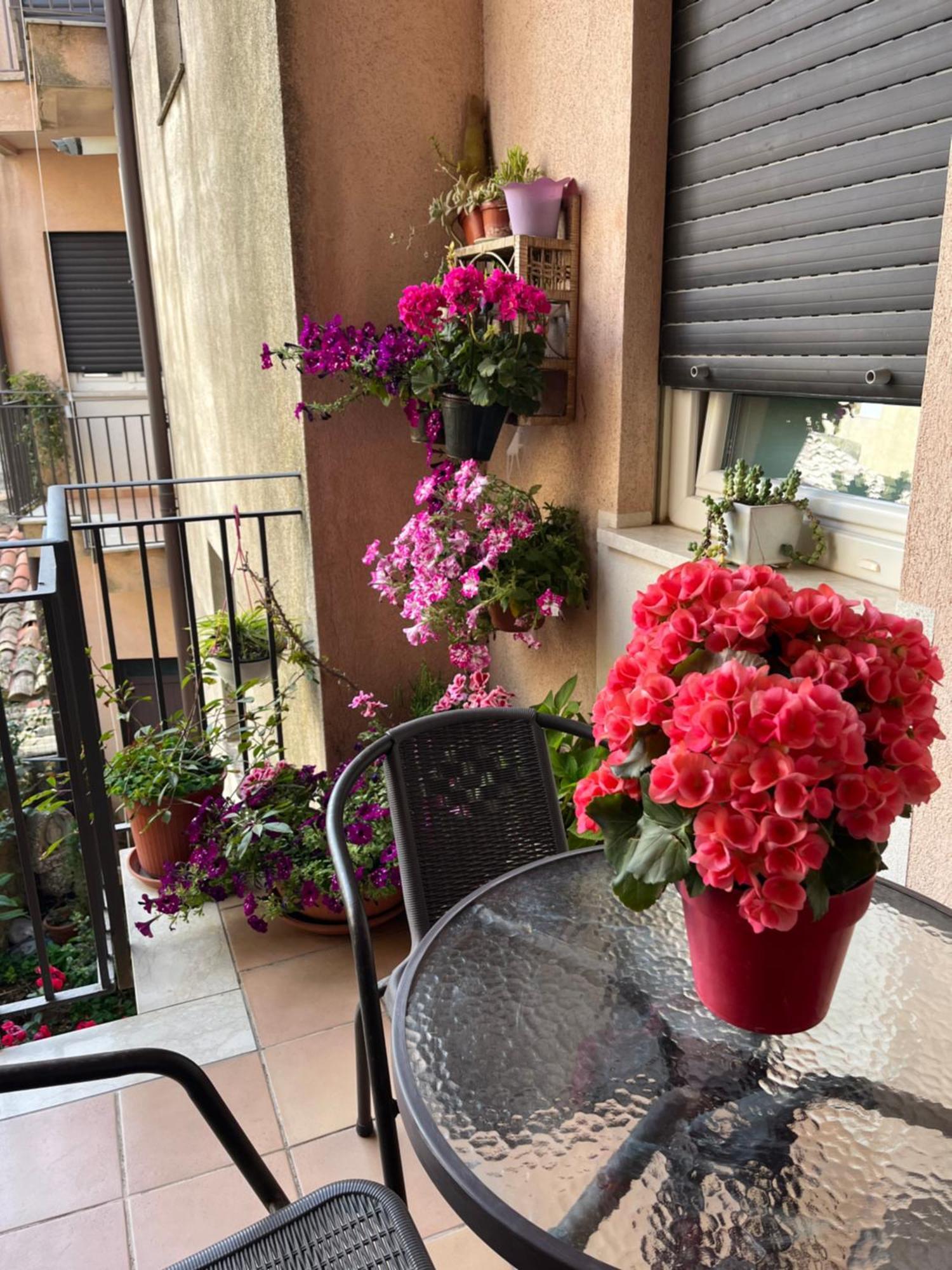 B&B Fleurs Enna Exterior photo